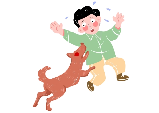 特色門(mén)診|錦州市中心醫(yī)院急診科成立動(dòng)物致傷門(mén)診