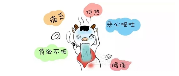 健康科普 |科學(xué)預(yù)防 遠(yuǎn)離甲肝