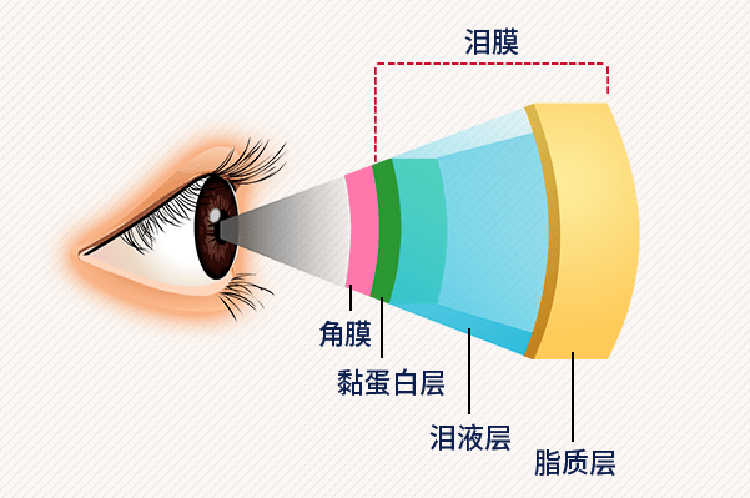 健康科普|干眼不是“小毛病”！眼科專家教您科學“破局”